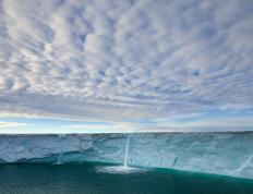 世俱杯直播-锋芒与铁壁，英格拉姆的万分之一与灰熊的集体意志