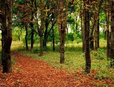 世俱杯赛程-关键先生乔治！爵士生死战力克北京队