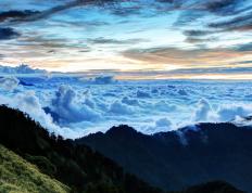 世俱杯参赛资格-绿军铁骑横扫上海滩，塔图姆一锤定音