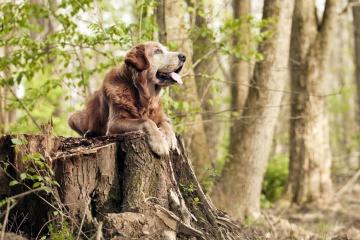 世俱杯2025-血拼之夜，与海外降落的王炸