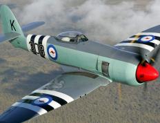 世俱杯-东决关键战之夜，文班亚马的稳定即是最澎湃的轰鸣