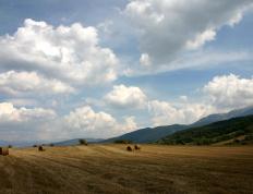 世俱杯时间-今夜，他是足球场上的约基奇