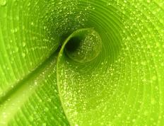 世俱杯奖金-德意志铁血吞噬北欧黑马，世界排名争夺战上演惊天逆转