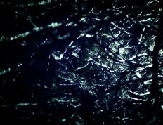 世俱杯奖金-榜首与榜尾的戏码崩塌，切特·霍姆格伦如何一己之力掀翻快船巨轮？