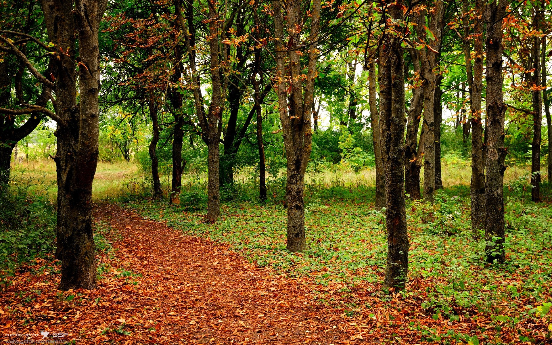 世俱杯赛程-关键先生乔治！爵士生死战力克北京队