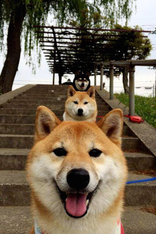 世俱杯改制-双星驱动,活塞强势晋级公牛,杜兰特关键节点连续得分重塑东部版图