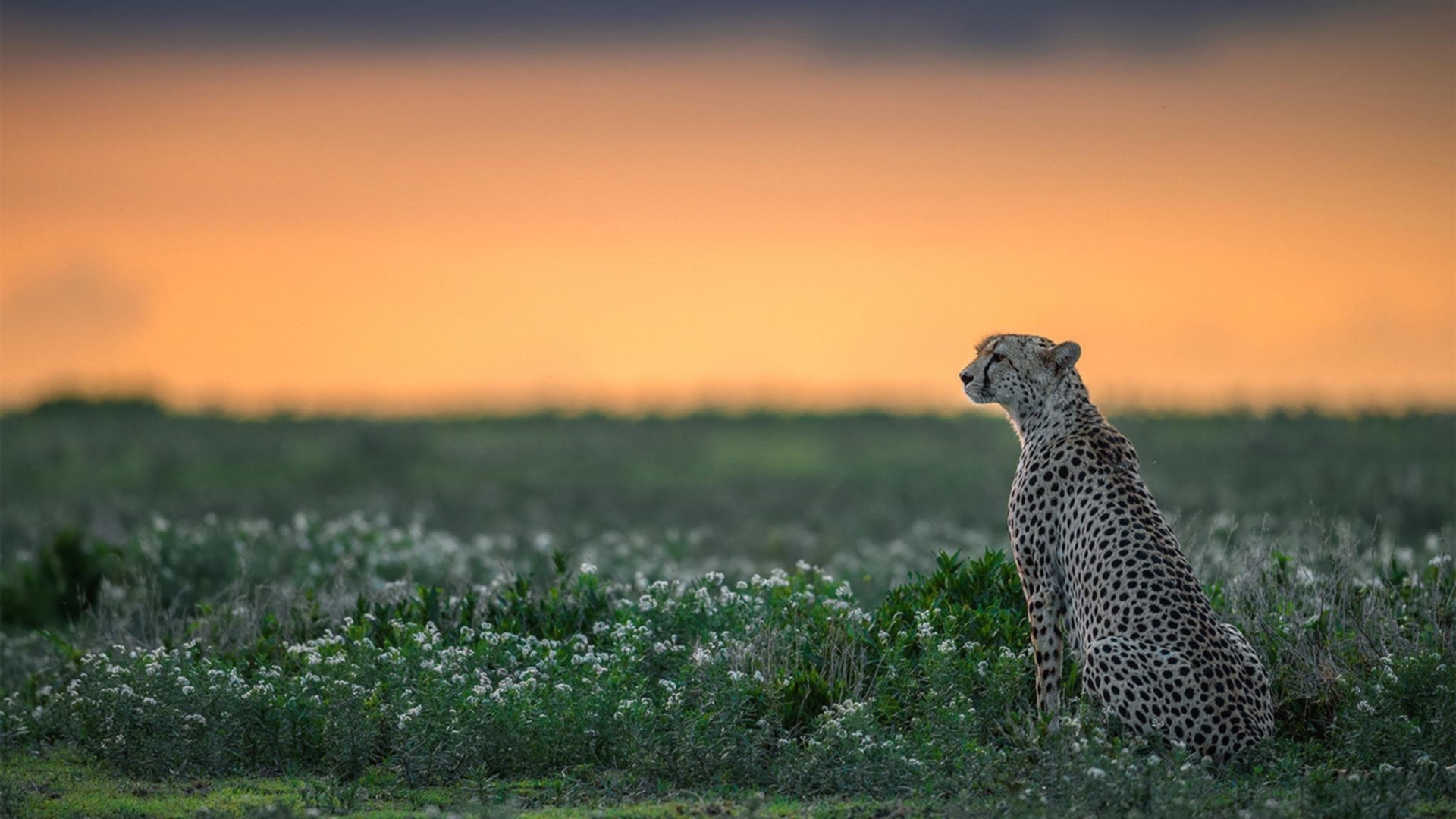 世俱杯2025-末节狂飙！勇士逆转太阳，米切尔化身关键先生