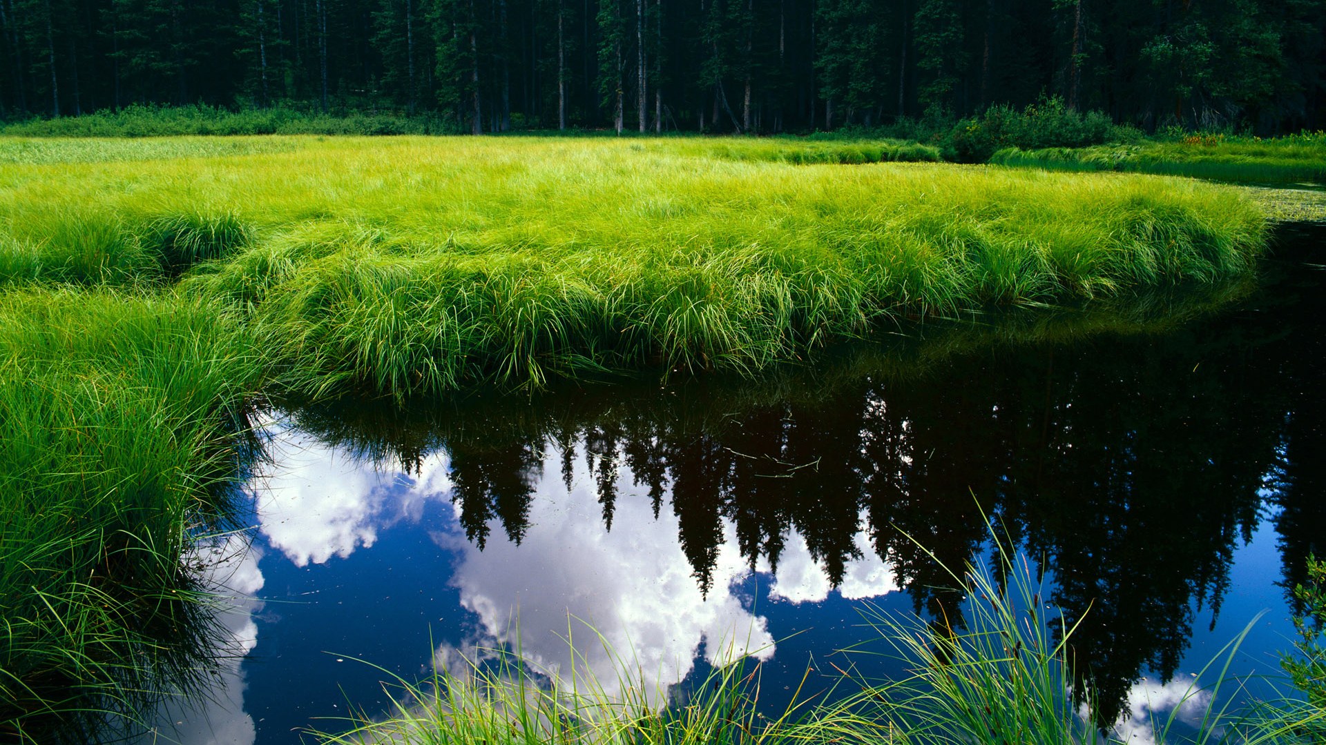 世俱杯-跨越联赛的巨星回响,从浙江力克新疆到西亚卡姆的价值证明