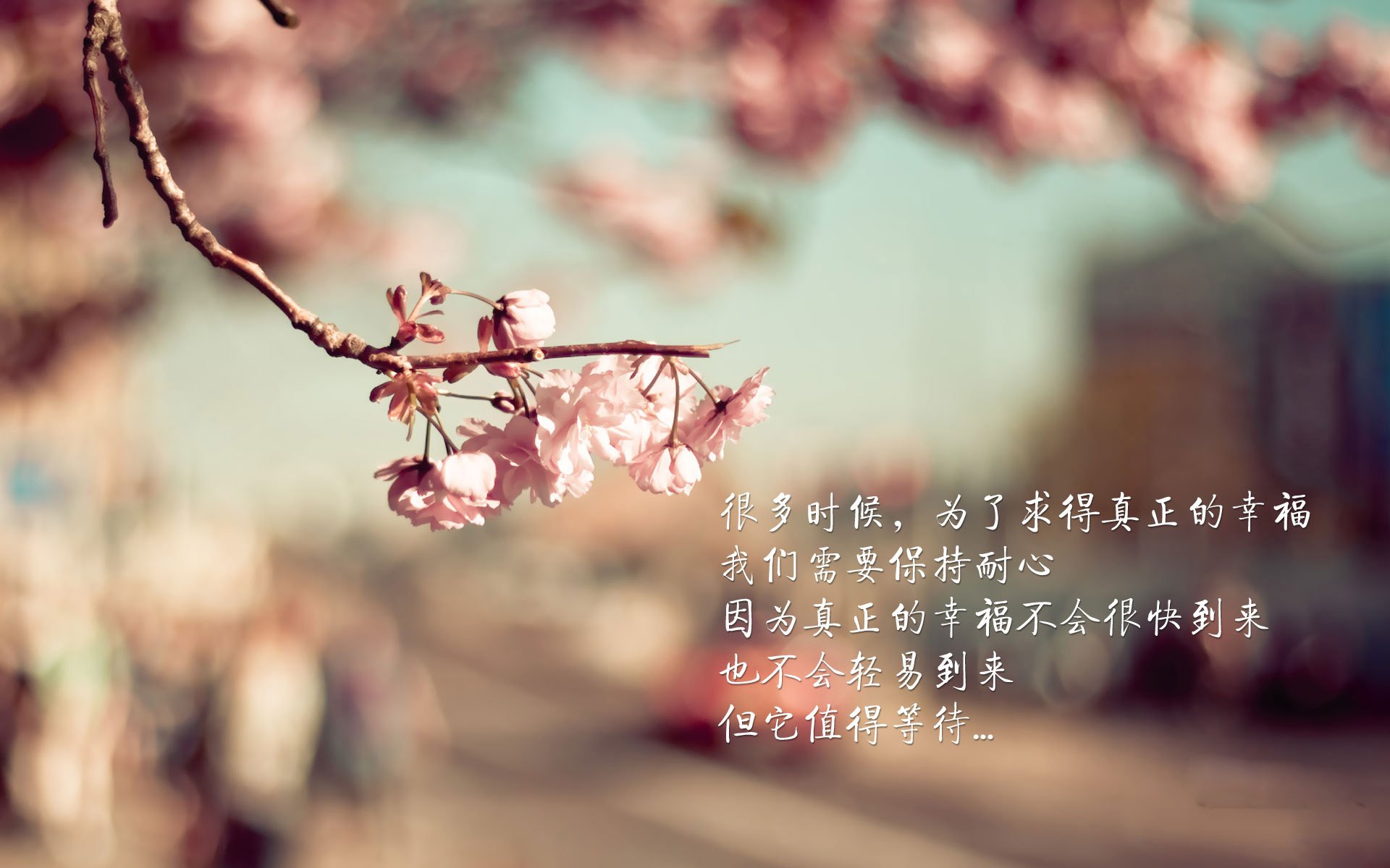 世俱杯参赛资格-霍勒迪连斩关键分引爆全场,76人鏖战力克北京男篮