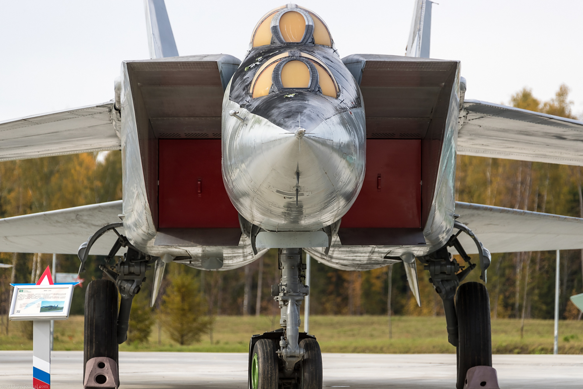 世俱杯直播-阿尔及利亚速胜突尼斯，加维成为关键先生