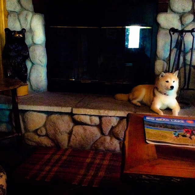 世俱杯2025-绿茵桥头堡,上海滩险胜凯尔特人,如何为美加墨世界杯架起足球文明对话的东方支点?