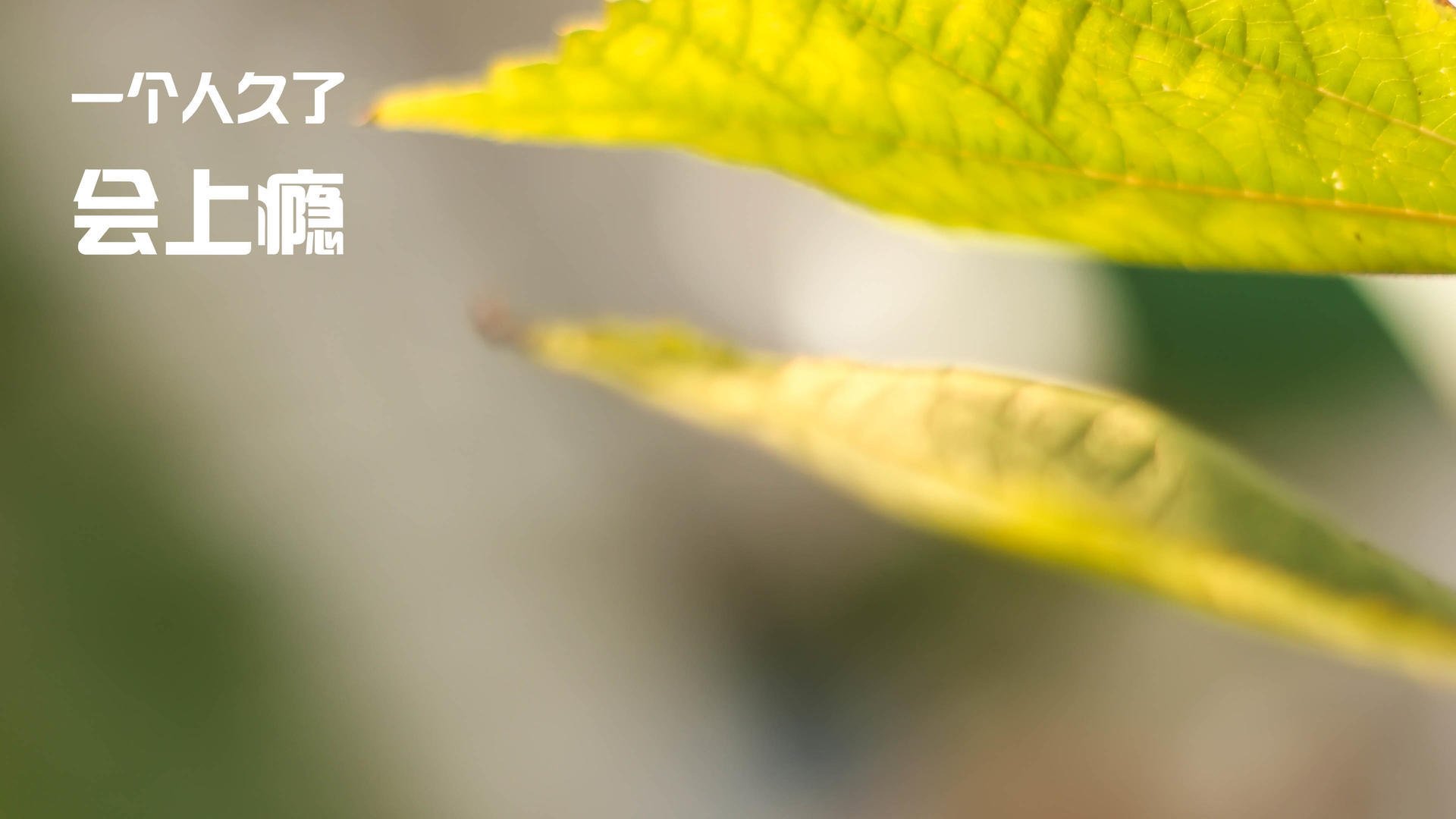 世俱杯赛程-新旧碰撞,阿森纳掀翻罗马的战术革命,与努涅斯刷新纪录的时代寓言