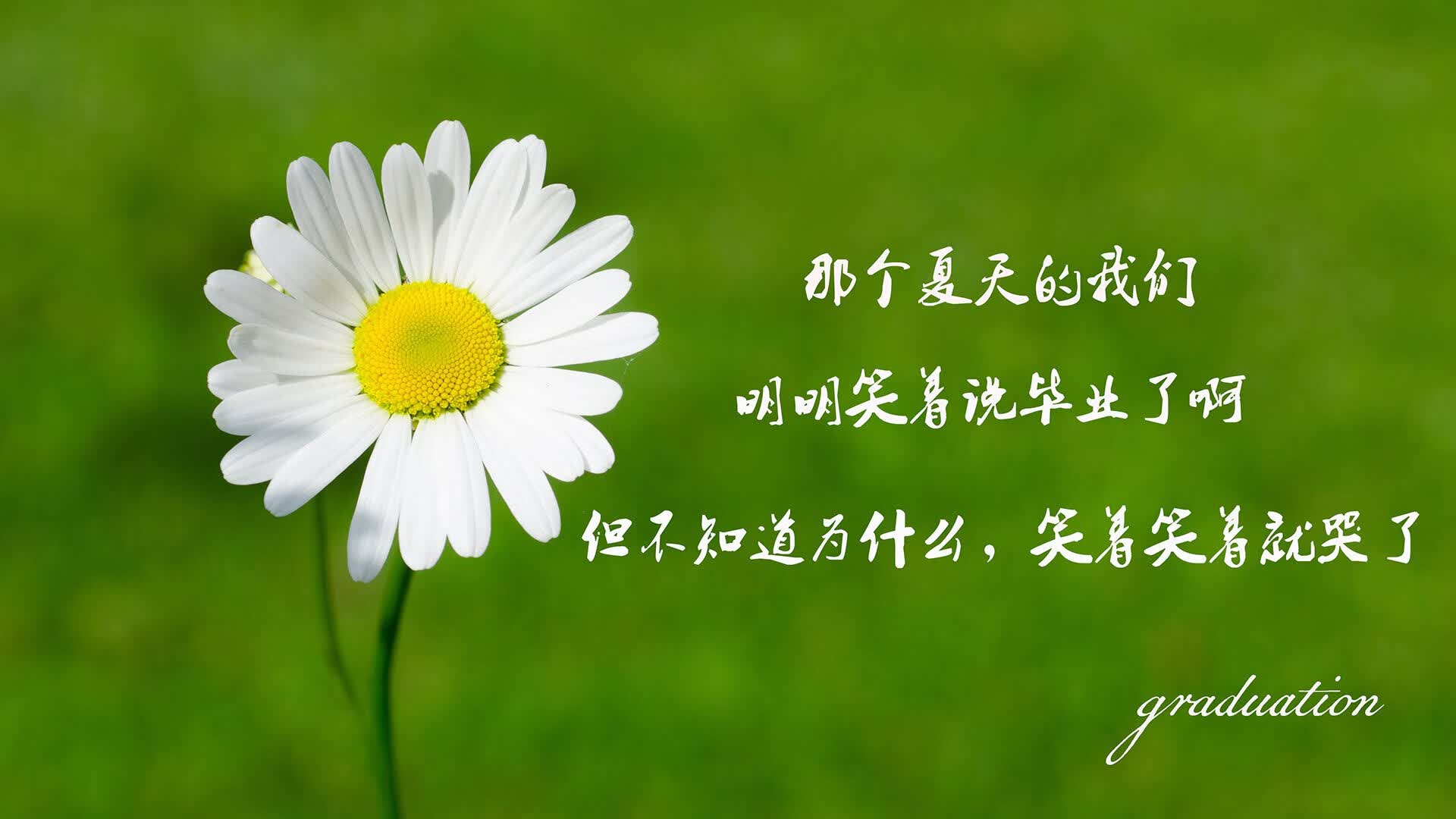 世俱杯分组-桑巴风暴席卷多哈，德容双子星闪耀，巴西强势横扫卡塔尔展露冠军相